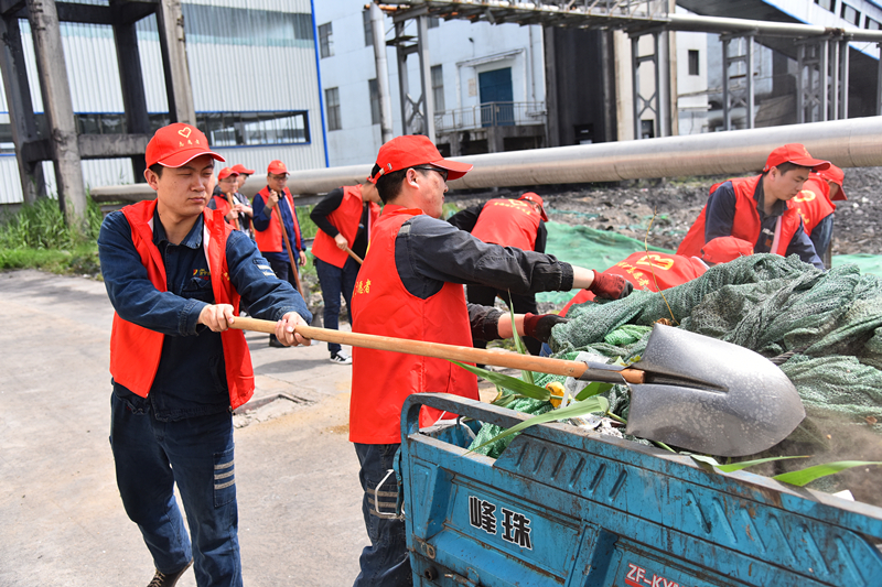 青年志愿者义务劳动